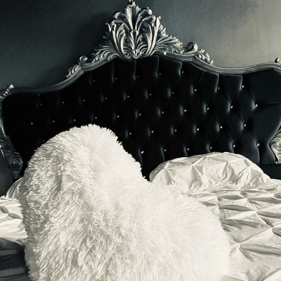 Bed and Breakfast Hypolite Avesnes-sur-Helpe Esterno foto